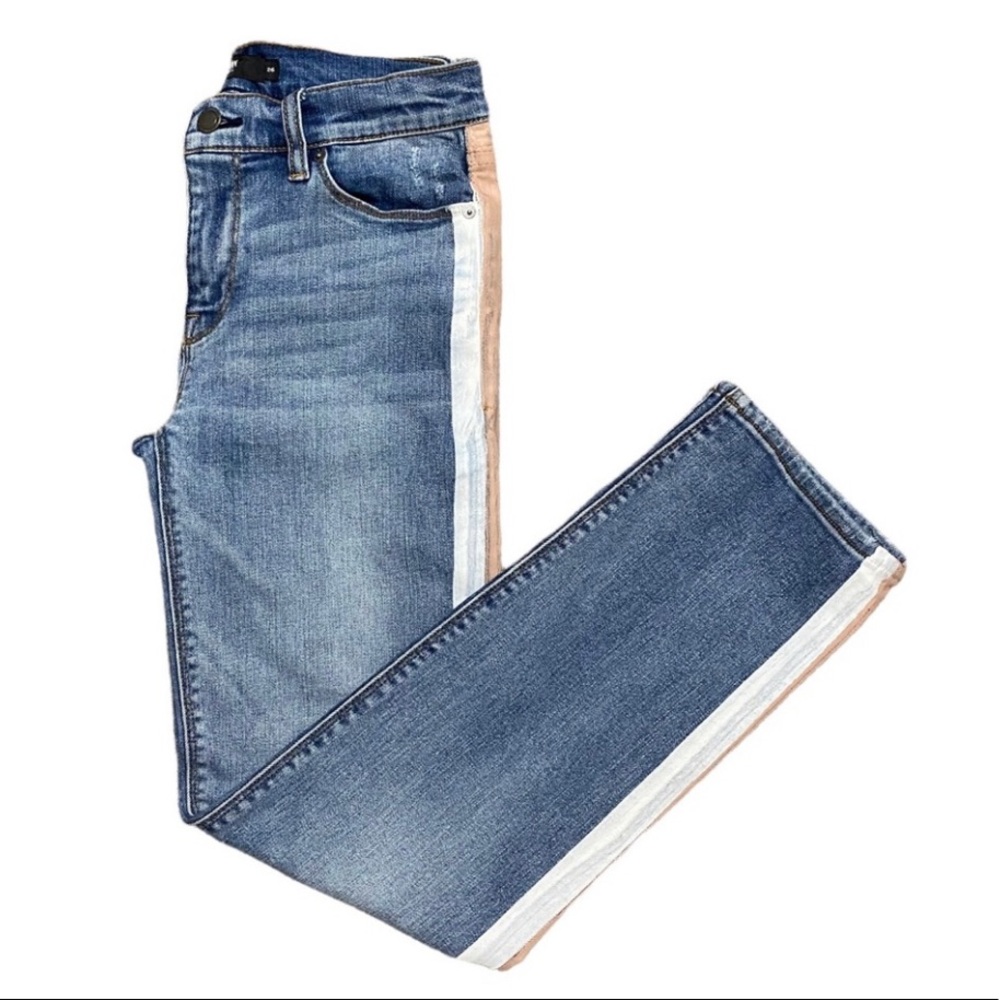 Hudson Painted Stripe Nico Cigarette skinny Jean